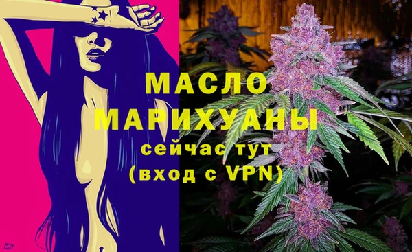 молекула духа Волоколамск