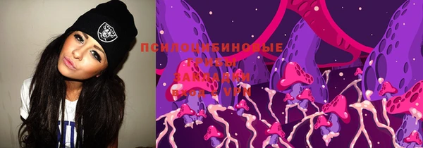 молекула духа Волоколамск