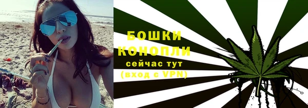 молекула духа Волоколамск