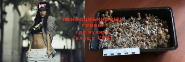 молекула духа Волоколамск