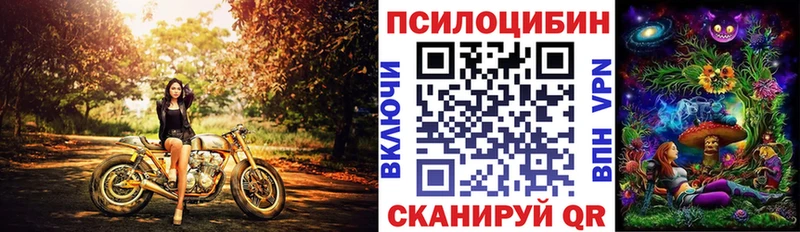 Псилоцибиновые грибы GOLDEN TEACHER  OMG как войти  Ессентуки 