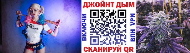 наркотики Ессентуки Конопля ГИДРОПОН